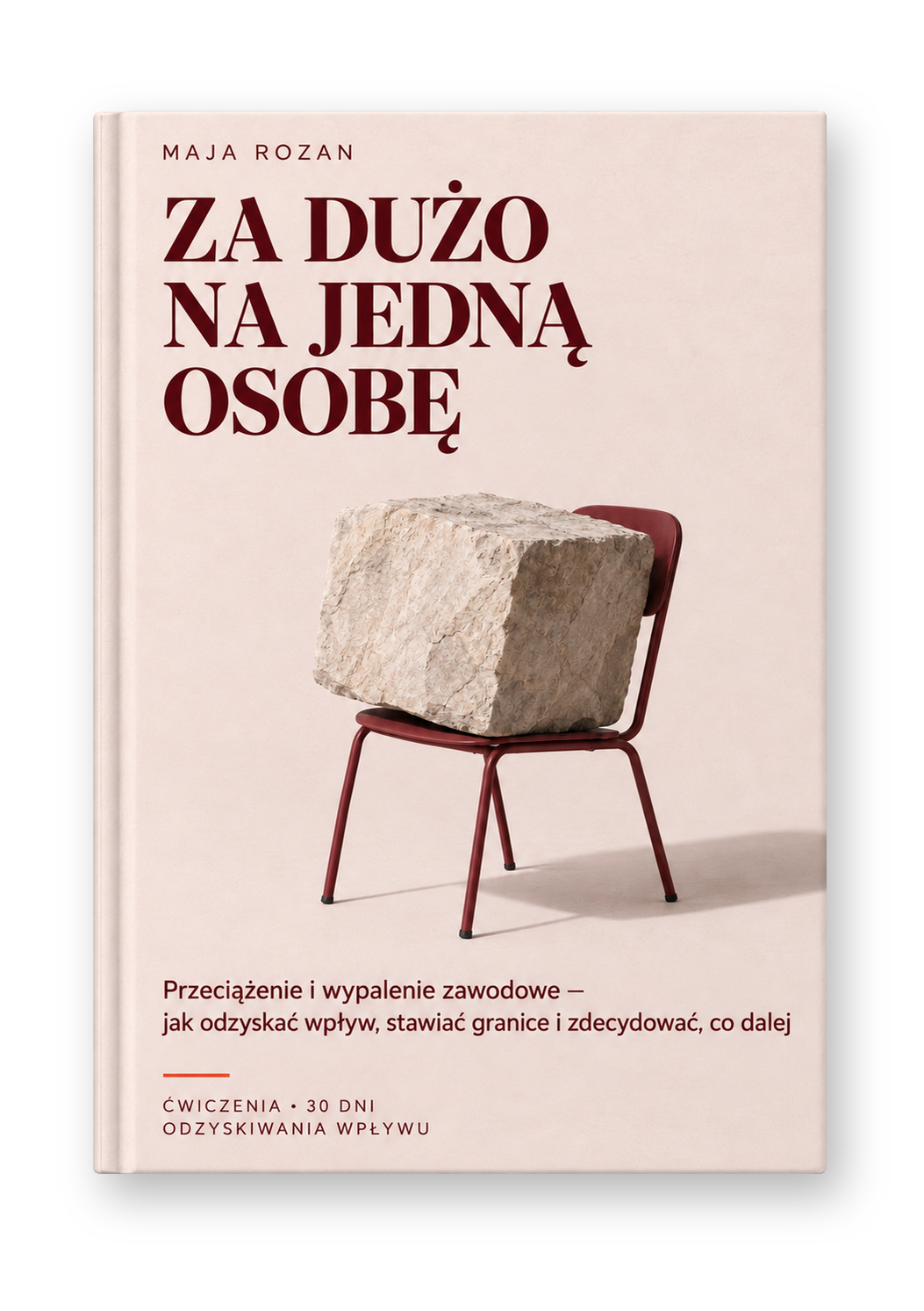 Za dużo na jedną osobę - Przeciążenie i wypalenie zawodowe - jak odzyskać wpływ, stawiać granice i zdecydować, co dalej