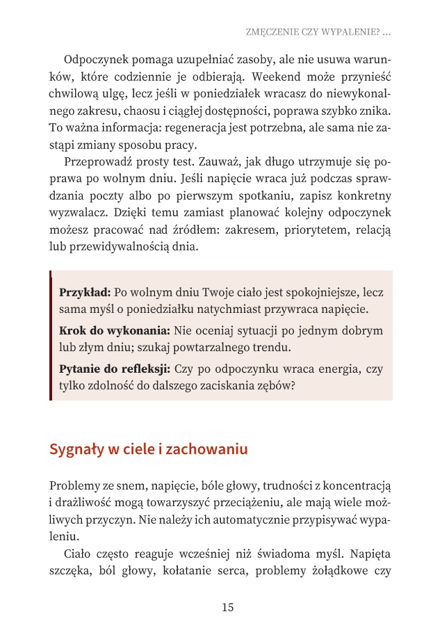 Za dużo na jedną osobę - Przeciążenie i wypalenie zawodowe - jak odzyskać wpływ, stawiać granice i zdecydować, co dalej