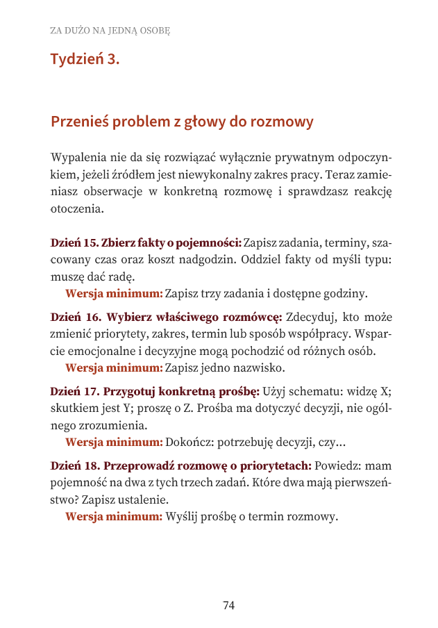 Za dużo na jedną osobę - Przeciążenie i wypalenie zawodowe - jak odzyskać wpływ, stawiać granice i zdecydować, co dalej
